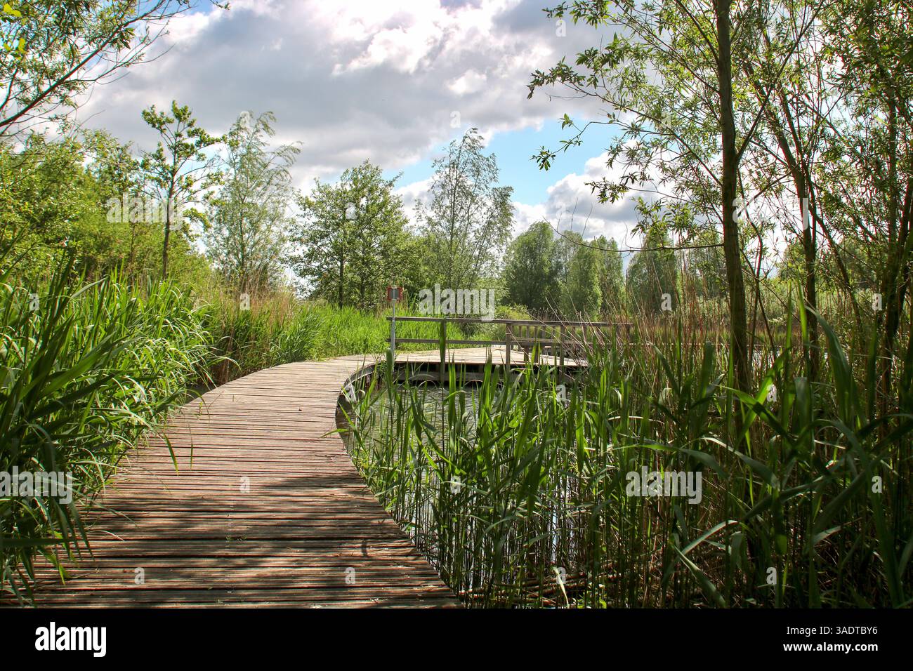 I Paesi Bassi Barendrecht Zuidpolder Foto Stock