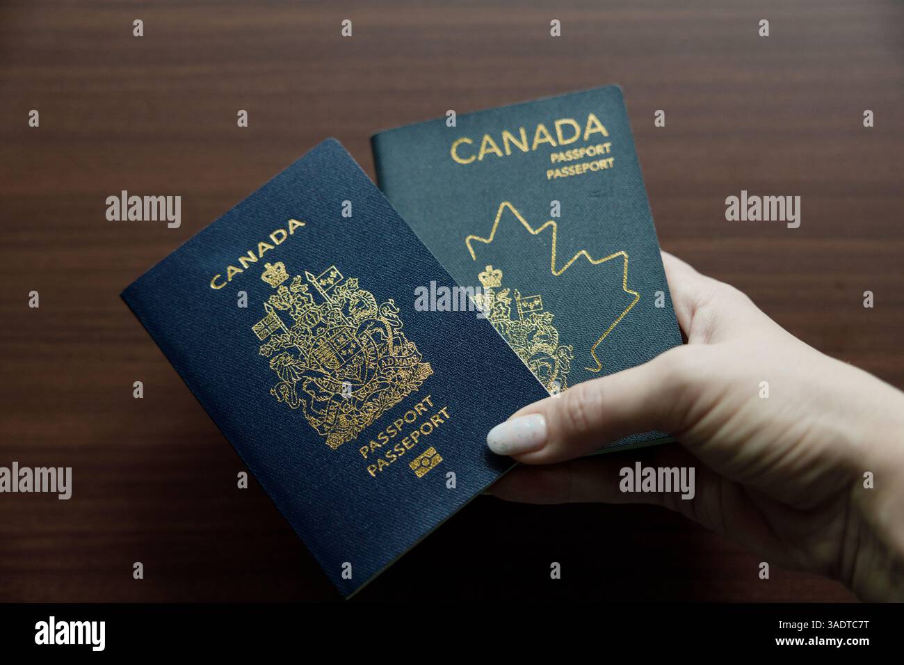 Tenendo a mano due passaporti canadesi affiancati che mostrano l'evoluzione del design Foto Stock