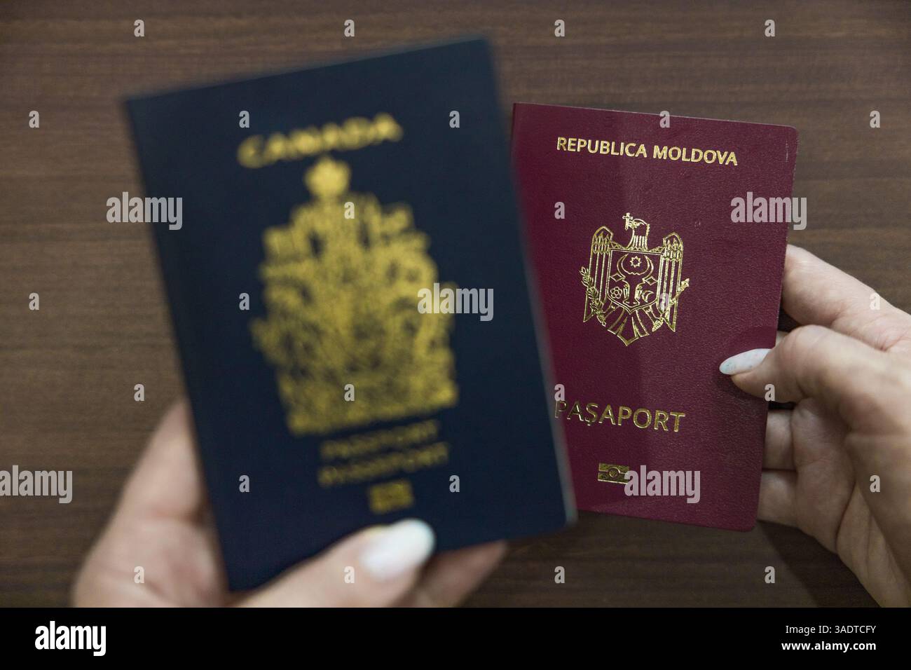 Vancouver, Canada - 18 marzo 2025: Mani in possesso di due passaporti con il passaporto canadese sfocato a sinistra (blu navy con emblema d'oro) e la clea destra Foto Stock