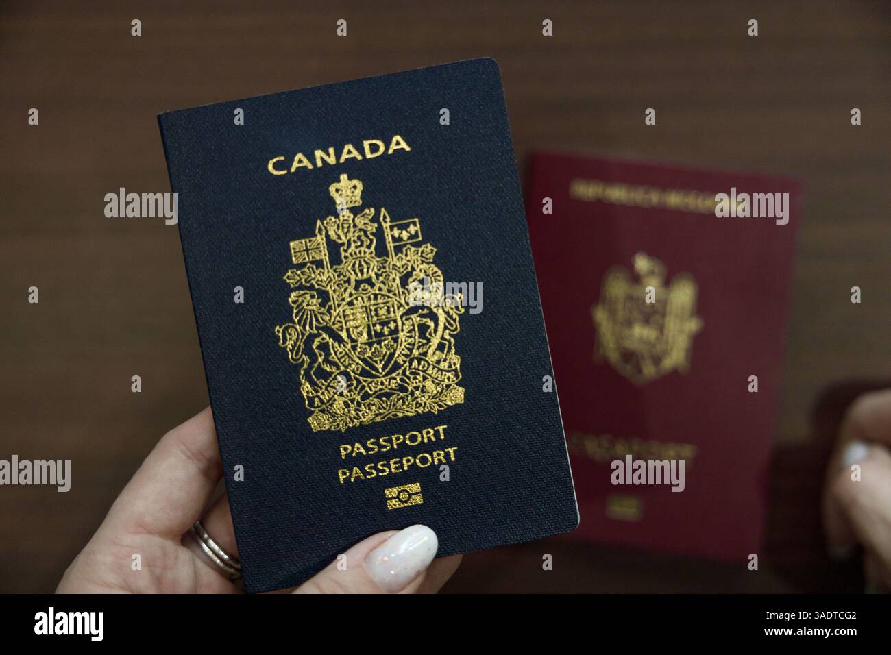 Vancouver, Canada - 18 marzo 2025: Mano con passaporto canadese blu scuro con stemma dorato e testo in primo piano, con un burgund sfocato Foto Stock