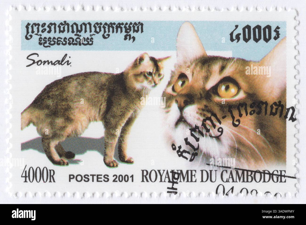 CAMBOGIA (Kampuchea) (Repubblica Khmer) — 2001, agosto 25: 4000 riels francobollo multicolore raffigurante il gatto somalo è geneticamente simile al gatto abissino. A causa dell'erezione di 2 copie del gene recessivo per i capelli lunghi, hanno un caratteristico cappotto lussureggiante, a differenza del loro cugino l'Abissino, il viso e la visione comune Foto Stock