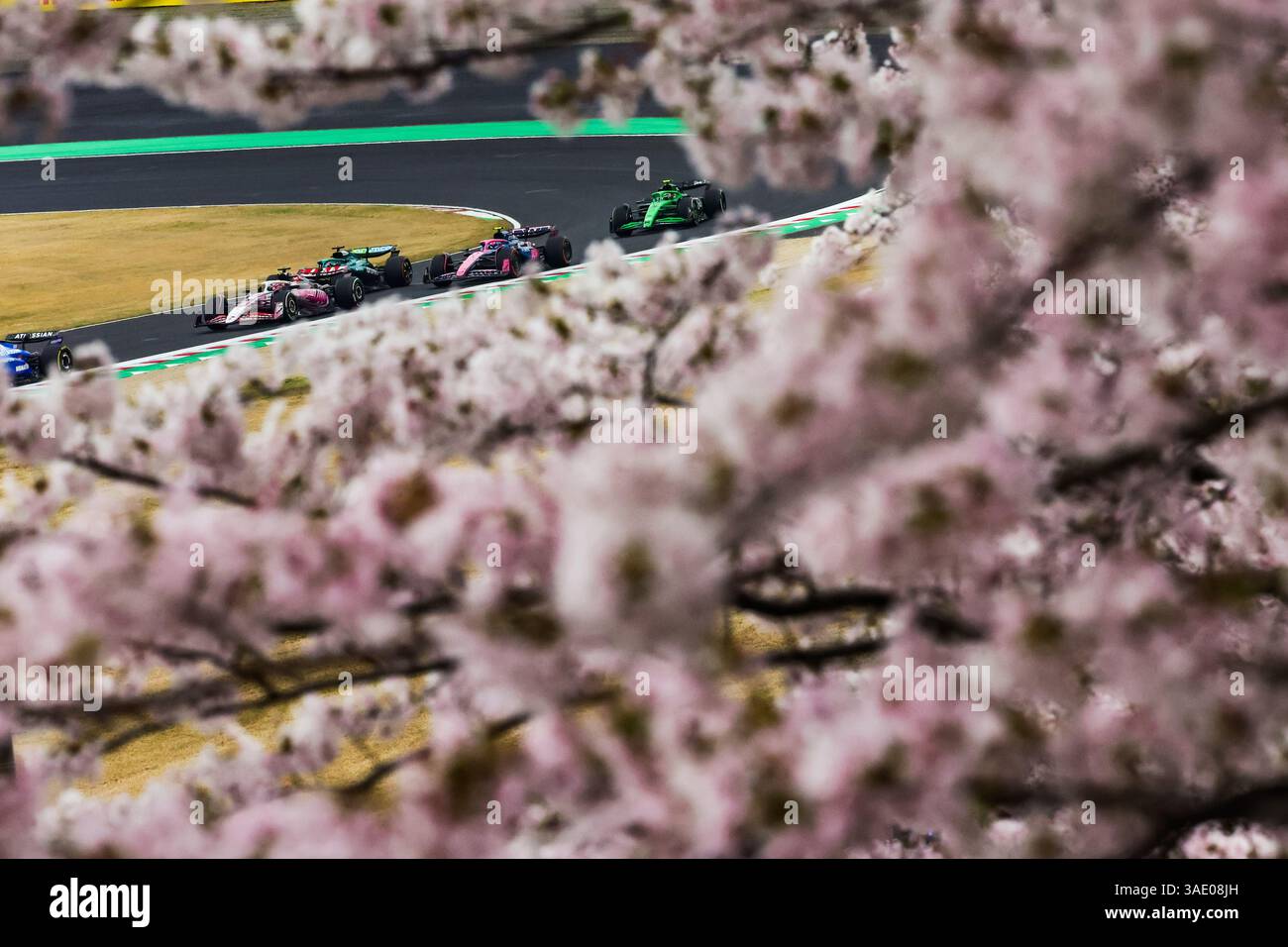 Durante il Gran Premio del Giappone di Formula 1 Lenovo 2025, 3° round del Campionato del mondo di Formula 1 FIA 2025 dal 4 al 6 aprile 2025 sul circuito di Suzuka, a Suzuka, in Giappone Foto Stock