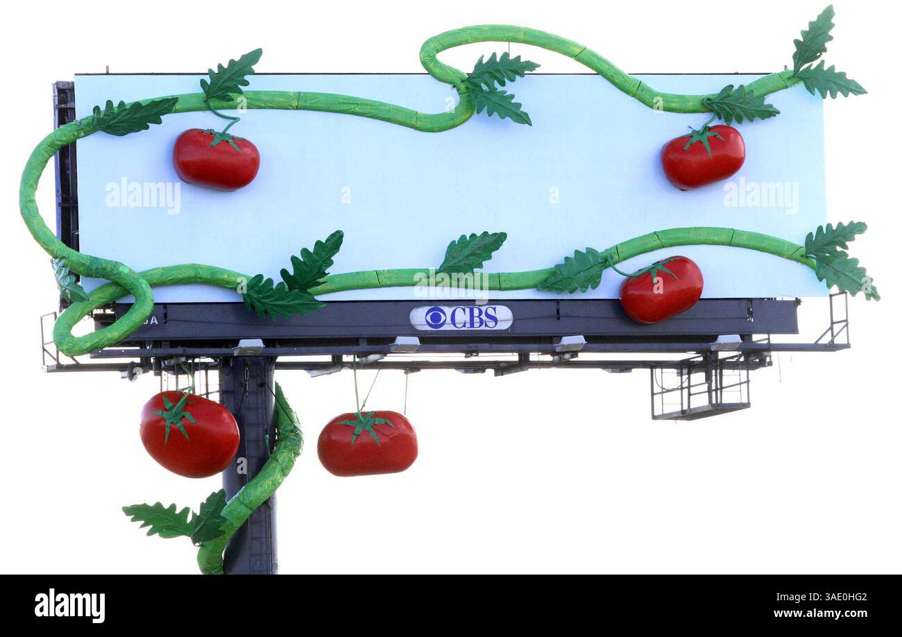 20 gennaio 2012 - Oakland Park, Florida, USA - Un cartellone per i pomodori rossi decorato con viti giganti e pomodori realizzati in acciaio a Oakland Park, Florida, il 20 gennaio 2012. I cartelloni pubblicitari tradizionali stanno aggiungendo sempre più una terza dimensione. (Immagine di credito: © Amy Beth Bennett/Sun Sentinel/MCT/ZUMAPRESS.com) Foto Stock