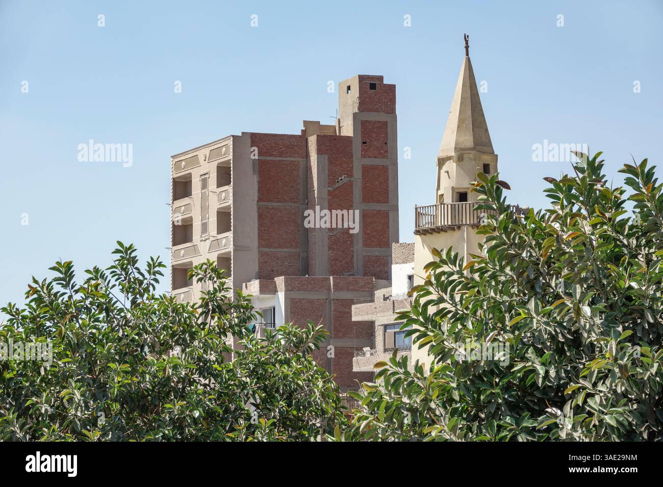 Un blocco di appartamenti in mattoni rossi e cemento vicino ad una moschea in gran parte di cemento, con foglie di alberi verdi luminosi in primo piano, l'Egitto Foto Stock