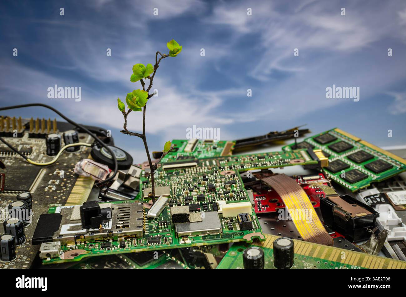 Un'immagine concettuale che rappresenta il riciclaggio, la sostenibilità, la conservazione ambientale, l'obsolescenza tecnologica e il potenziale di nuovi inizi Foto Stock