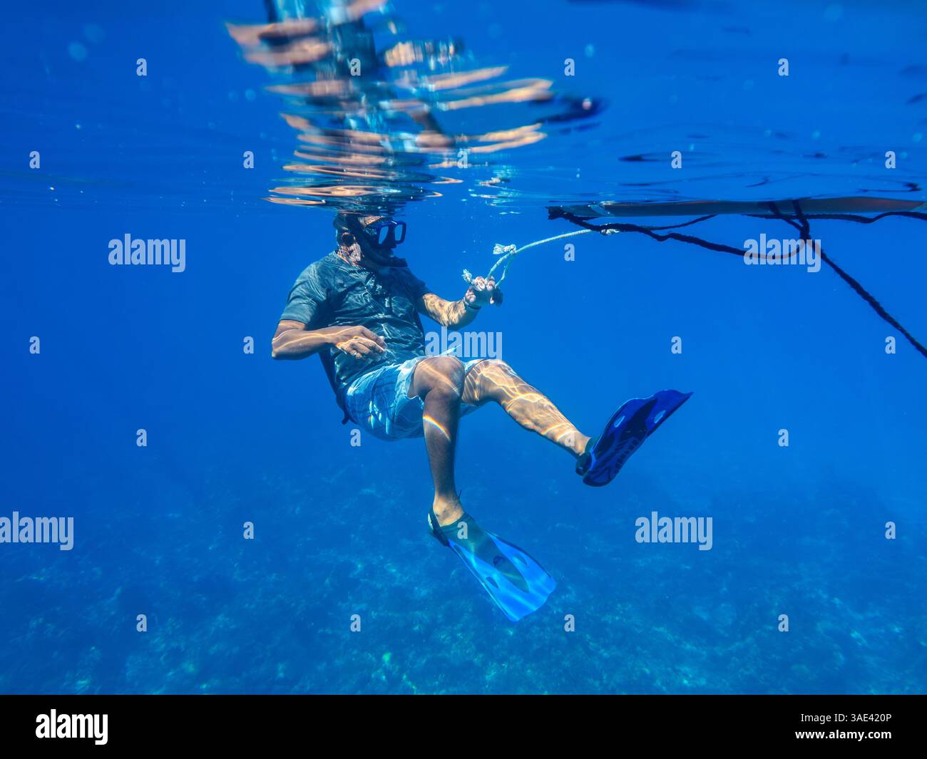 Tour di snorkeling dei giardini Palancar, El Cielito e della Colombia Deep Reef, isola di Cozumel, Stato di Quintana Roo, Messico Foto Stock
