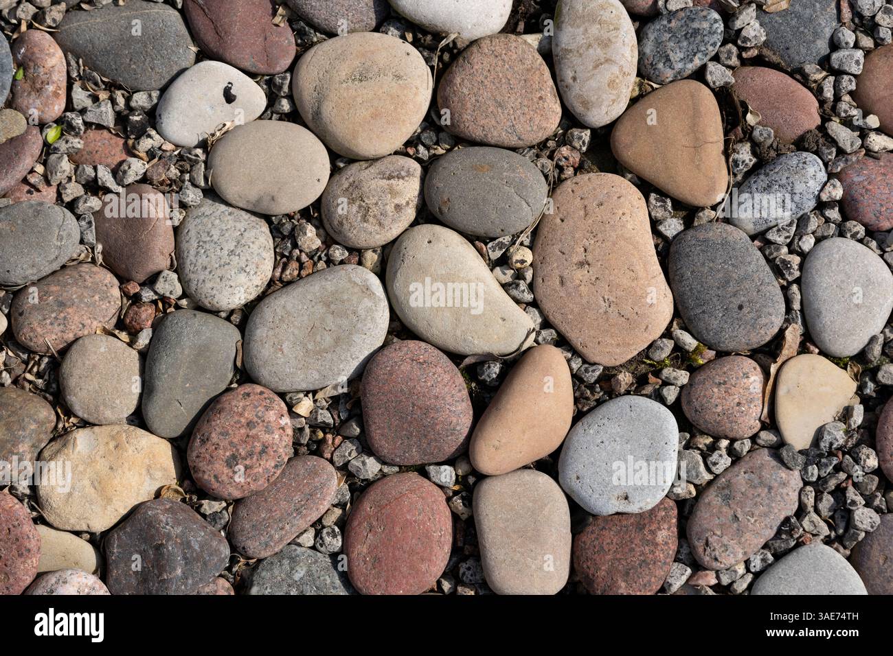 Pietre grandi e piccole fotografate come texture ad alta risoluzione. Ideale per la sostituzione dello sfondo, il ritocco di foto o le composizioni artistiche. Foto Stock