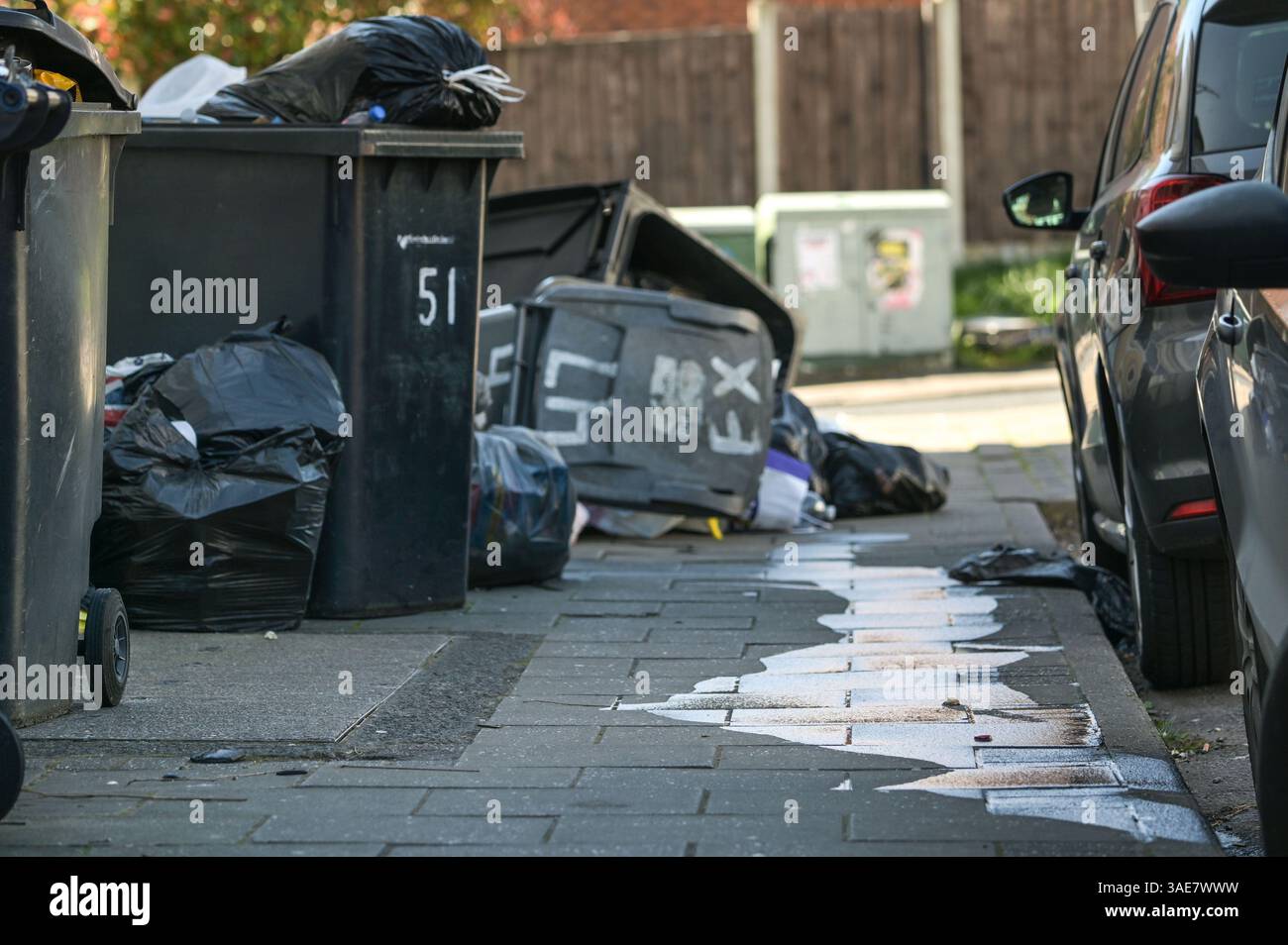 Exeter Road, Selly Oak, Birmingham, 6 aprile 2025: Una scia di bin Juice scorre lungo il sentiero dopo che un cassone è stato abbattuto su Exeter Road. - Sacchi di bidone traboccanti sul marciapiede nell'area degli studenti intorno a Selly Oak, vicino all'Università di Birmingham. Le collezioni non sono state effettuate per settimane e alcune aree hanno pareti di contenitori alte oltre un metro. Crediti: British News and Media/Alamy Live News Foto Stock