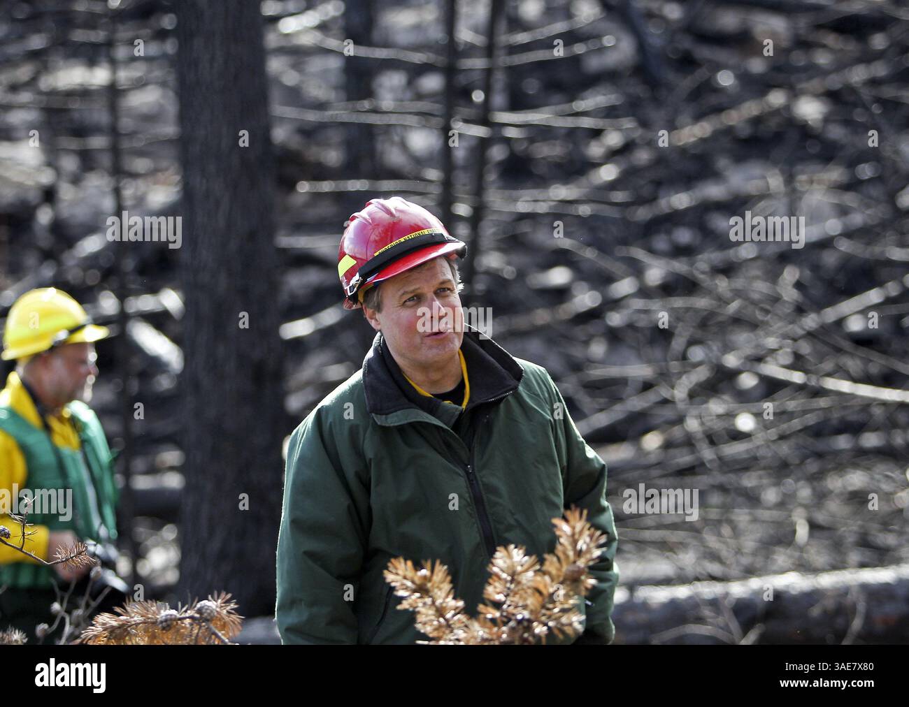 19 ottobre 2011 - Ely, Minnesota, Stati Uniti - la foresta bruciata è visibile come Mark Van Avery, front, ranger della Kawishiwi Ranger District Superior National Forest, ha guidato i membri dei media attraverso un'area bruciata, al largo del lago tre nella BWCA vicino a Ely, Minnesota, 19 ottobre 2011. (Immagine di credito: © David Joles/Minneapolis Star Tribune/MCT/ZUMAPRESS.com) Foto Stock