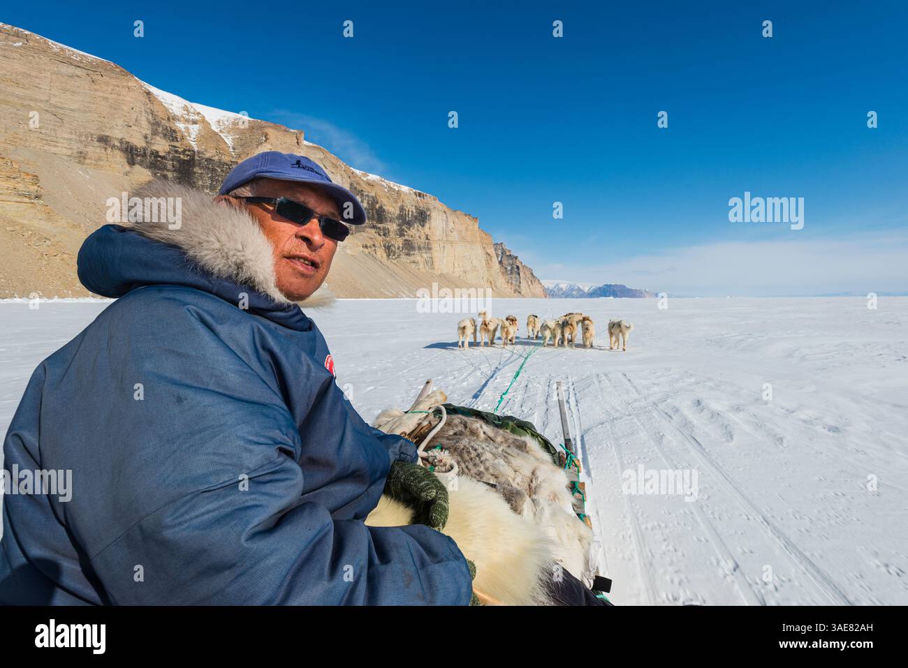 Un uomo guida una slitta trainata da una squadra di cani Inuit attraverso la distesa ghiacciata della Groenlandia. Il paesaggio presenta torreggianti scogliere e un'expa incontaminata Foto Stock