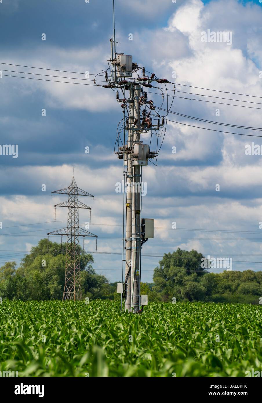 Infrastruttura tecnologica con polo elettrico, campo di mais verde, cielo blu e nuvoloso vicino alla capitale in Polonia Foto Stock