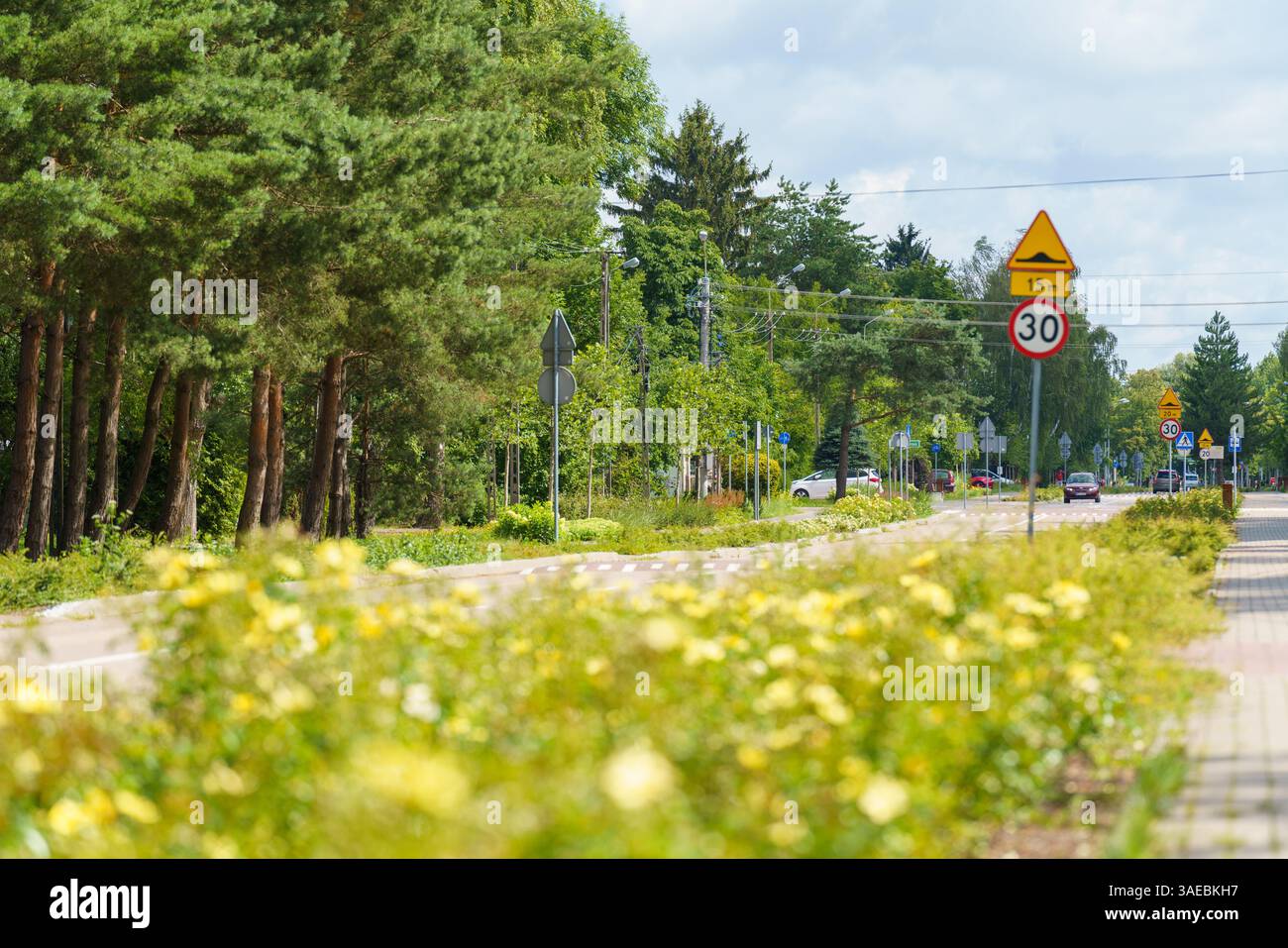 Ricca, verde e tranquilla zona residenziale vicino alla capitale. Polonia vicino a Varsavia. Strada tranquilla in un quartiere ricco. Michałowice. Foto Stock