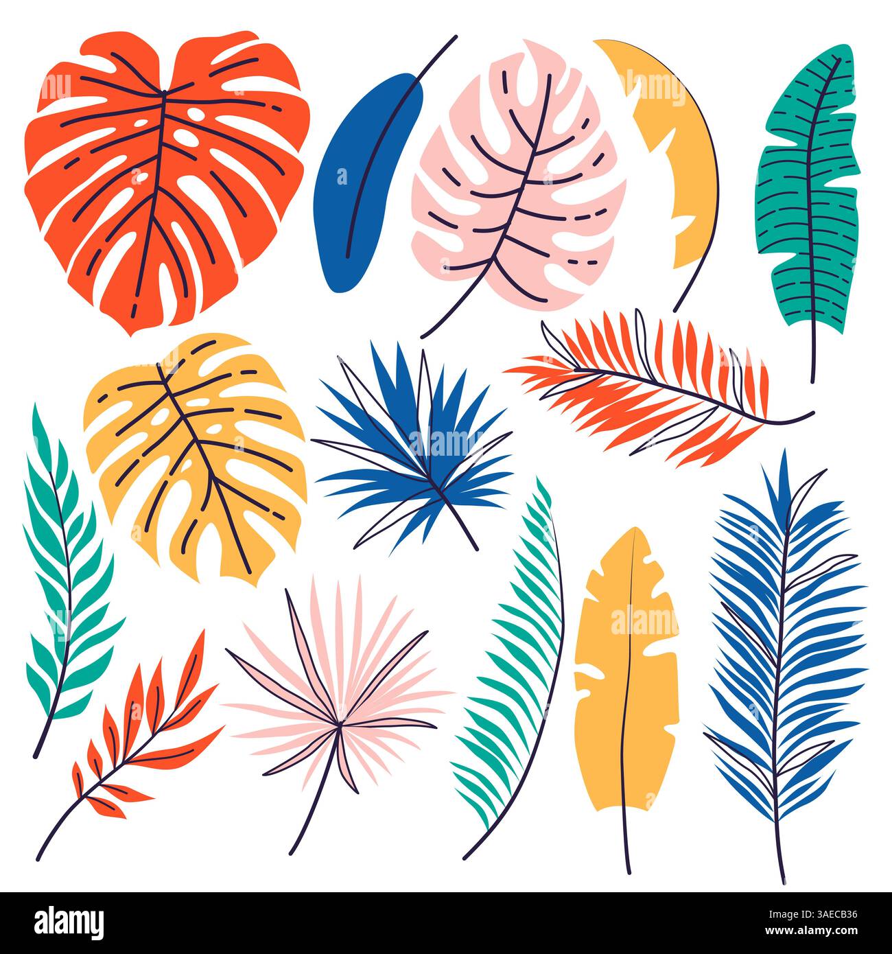 Set di foglie tropicali vettoriali disegnate a mano. Fogliame floreale, ramo di palma, foglie della giungla Illustrazione Vettoriale