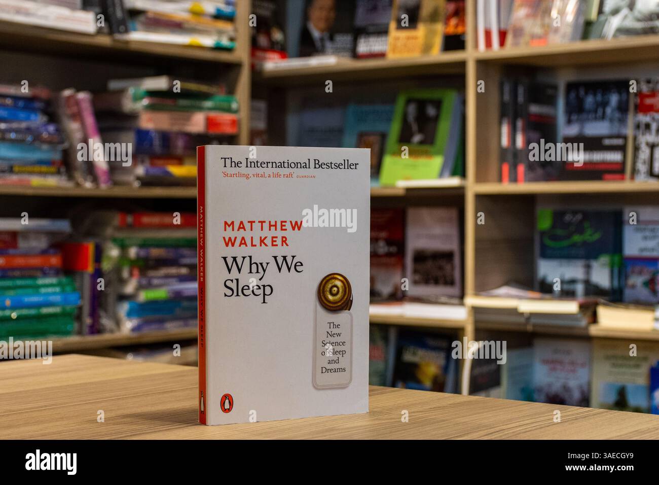 Primo piano di Matthew Walker's Why We Sleep Book in the Bookstore. Libro scientifico. Foto Stock