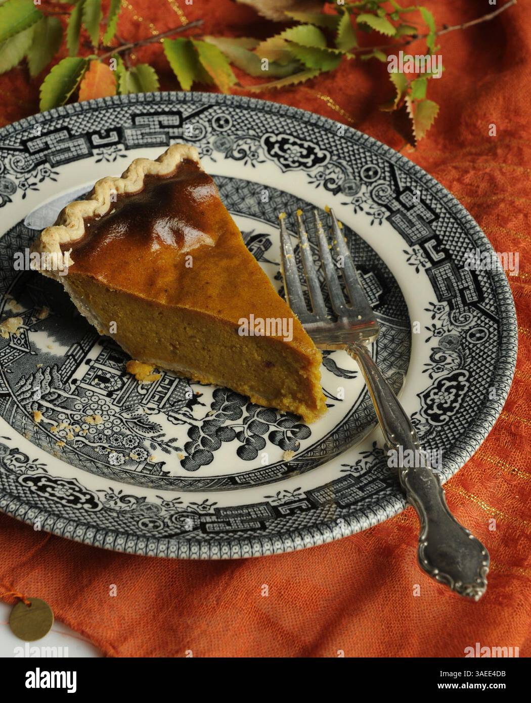 3 novembre 2011 - Walnut Creek, CALIFORNIA, USA - è il momento di dare un tocco di originalità con i tradizionali sapori autunnali, come la torta di zucca. (Immagine di credito: © Susan Tripp Pollard/Contra Costa Times/MCT/ZUMAPRESS.com) Foto Stock