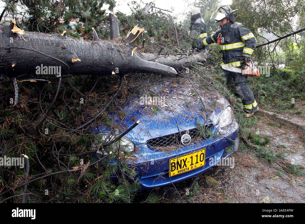 16 novembre 2011 - Colombia - bogotà 16 de noviembre de 2011. DOS vehicle dañados y por lo menos siete arboles caidos dejo la fuerte lluvia caida en el sector de la avenida el dorado con 68 foto Carlos Ortega Crédato: CEET Fotógrafo: CARLOS Ortega (Credit Image: © El Tiempo/GDA/ZUMAPRESS.com) Foto Stock