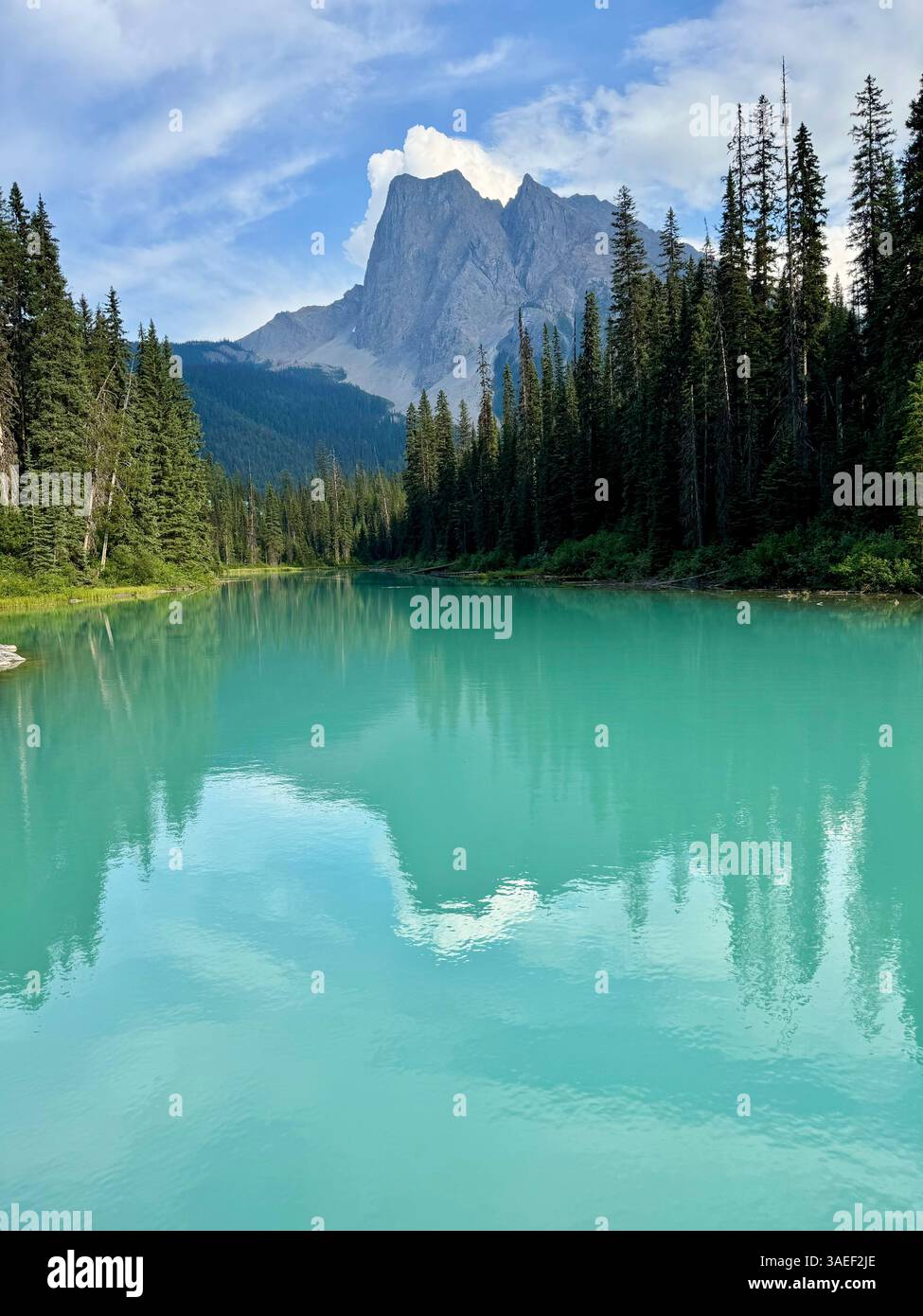 Un tranquillo lago turchese riflette gli alberi sempreverdi circostanti e una montagna torreggiante sotto un cielo blu parzialmente nuvoloso. Foto Stock