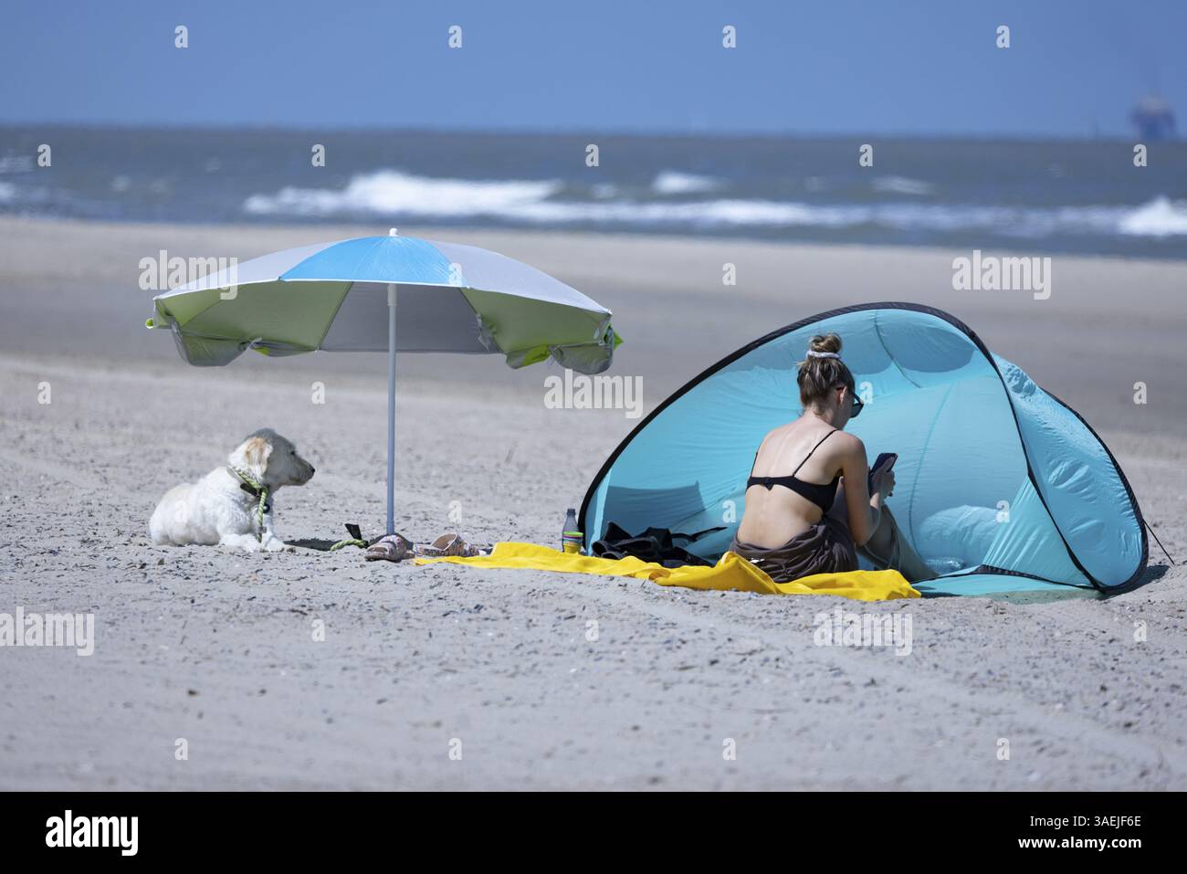 Donna che guarda il suo smartphone sulla spiaggia in una conchiglia da spiaggia impostata come vento mentre il suo cane giace accanto a lei sotto un ombrellone, vista del mare, G. Foto Stock