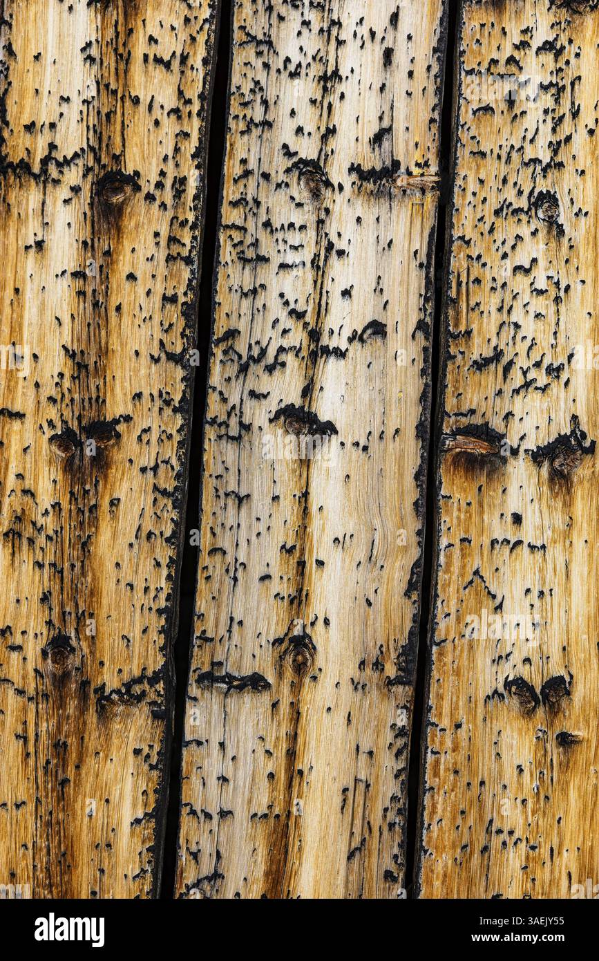 Tavole di legno di larice intempiate su fienile, Chandolin, Val d'Anniviers, Alpi Vallese, Canton Vallese, Svizzera, Europa Foto Stock