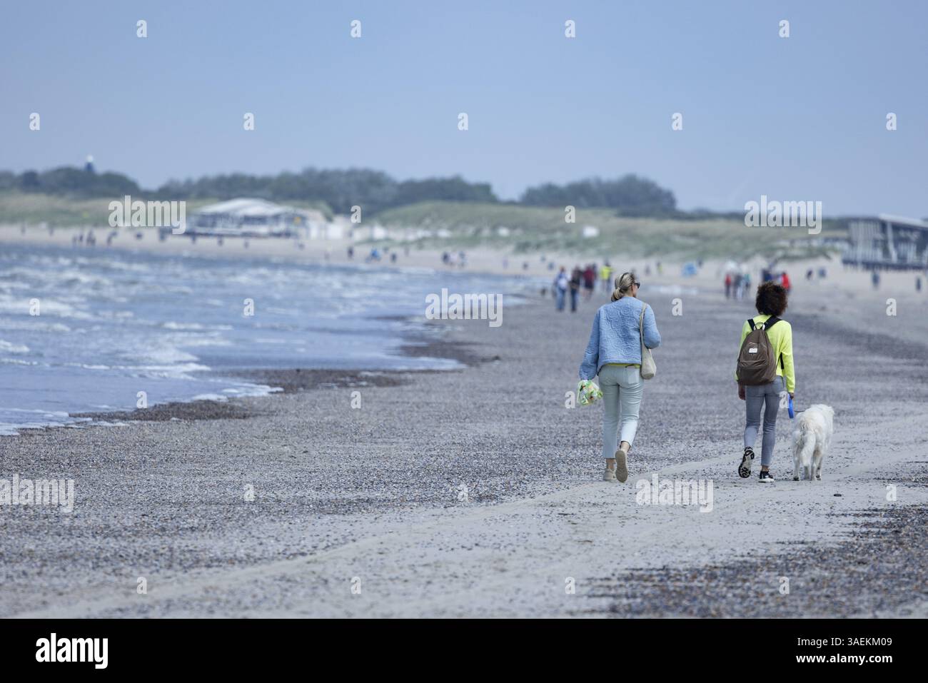 Due donne e un cane camminano sulla spiaggia con il sole, Groede, Zelanda, Paesi Bassi Foto Stock