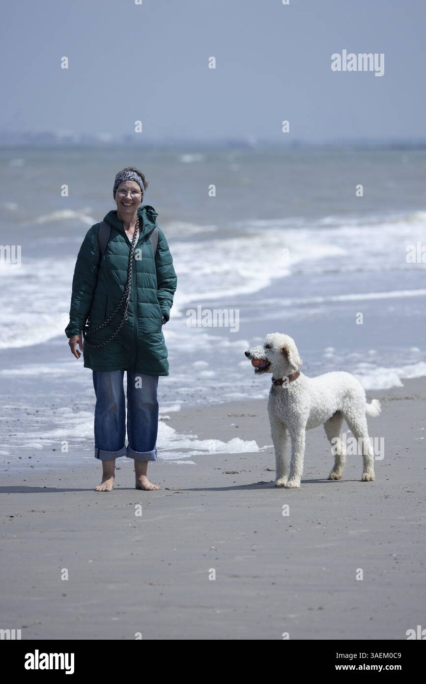Donna a piedi nudi e con cane sulla spiaggia con il bel tempo, Groede, Zelanda, Paesi Bassi Foto Stock