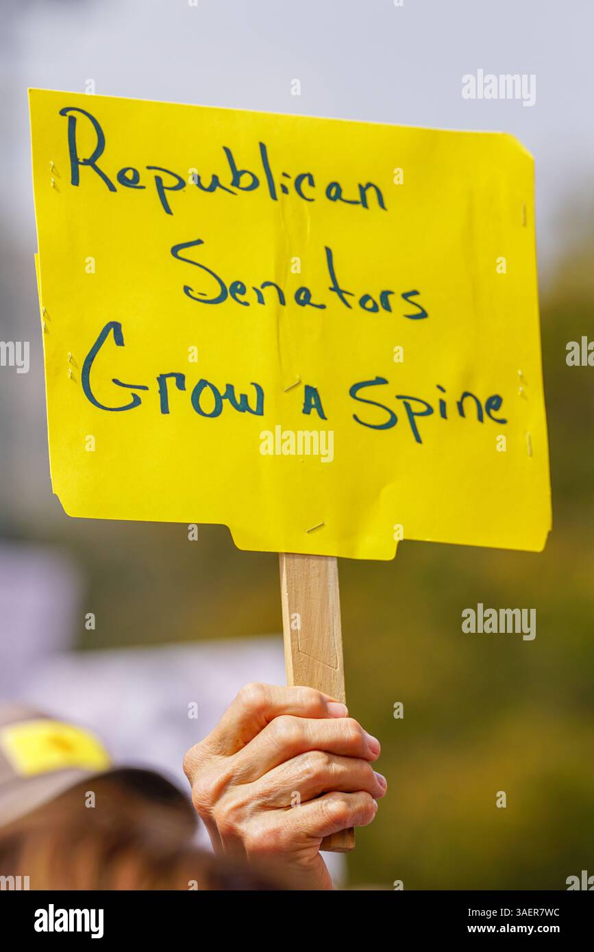 Un manifestante ha un cartello con la scritta "Repubblican Senators: Grow A spine" durante una protesta anti-Trump al Campidoglio del Texas l'8 marzo 2025 ad Austin, Texas, USA. (Foto di Julia Beverly/Alamy Live News) Foto Stock