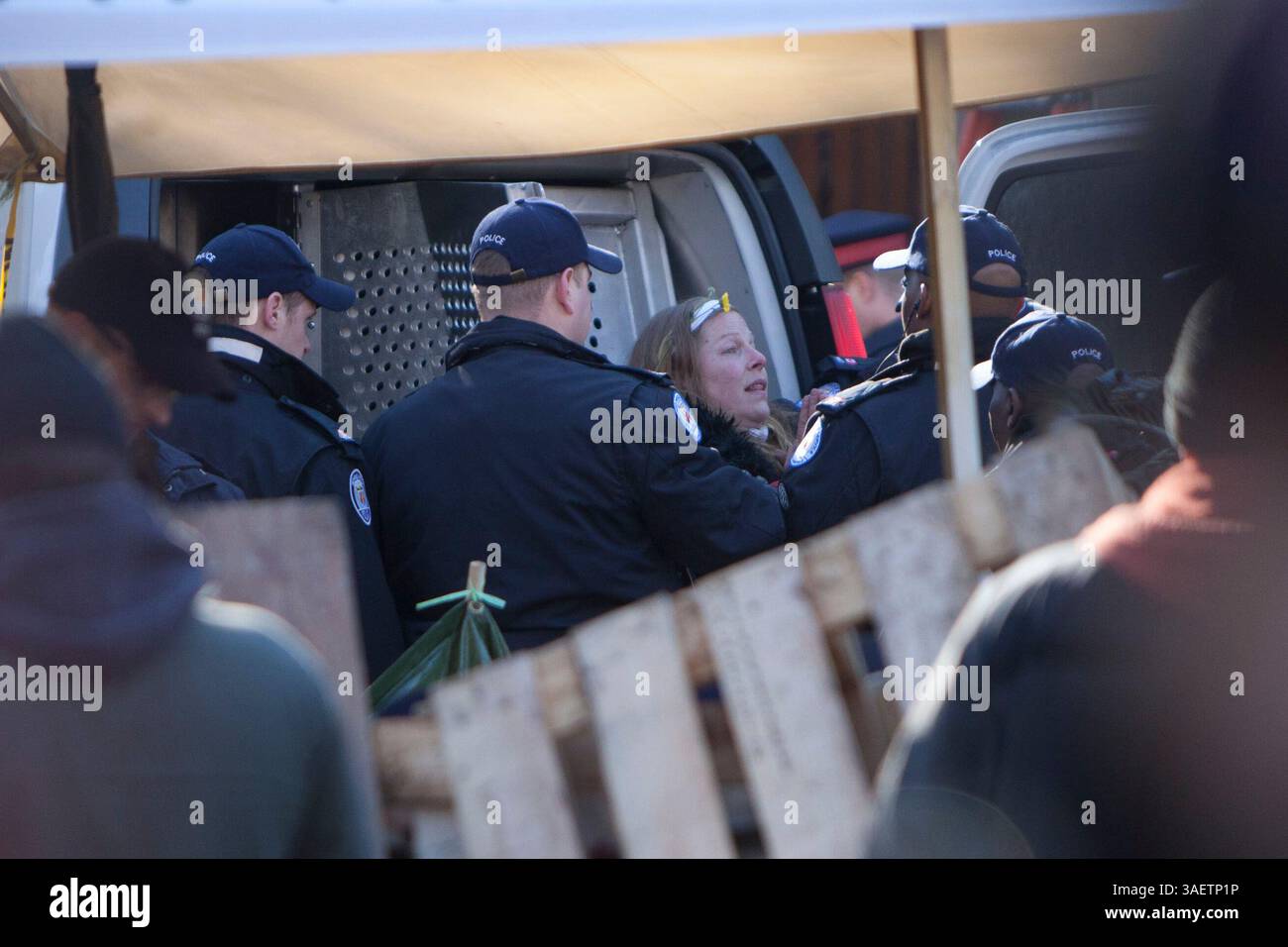 23 novembre 2011 - Toronto, Ontario, Canada - 13:00 - Una protesta ripugnante tiene le mani insieme implorando la polizia mentre viene caricata su un furgone di servizio del tribunale d'attesa. Lei e altri quattro si barricarono e si incatenarono alla tenda mentre la polizia si trasferì per sfrattare l'accampamento Occupy Toronto. (Immagine di credito: © Chris Drost/ZUMAPRESS.com) Foto Stock