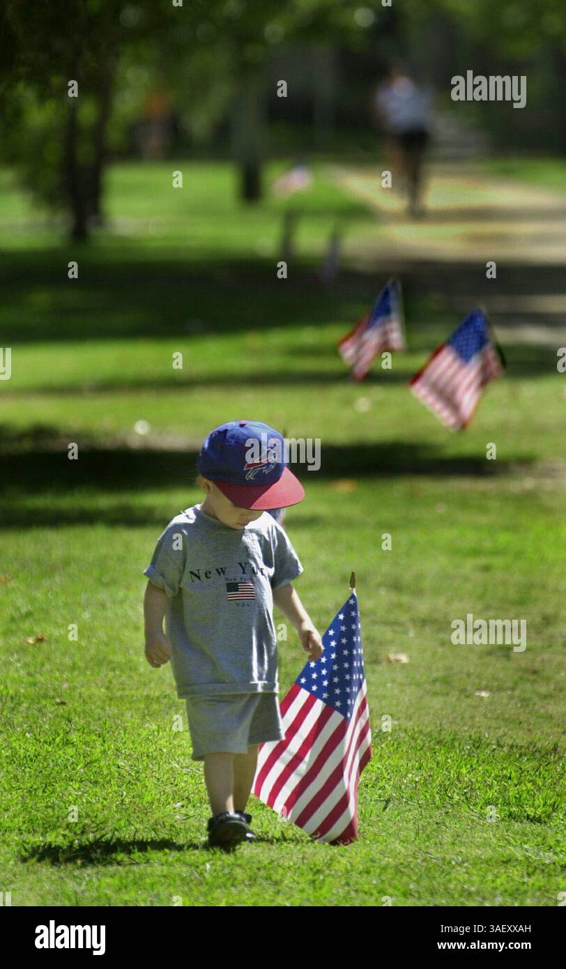 Colin Brown, 2 anni, di Sacramento vaga attraverso alcune bandiere americane poste nel McKinley Park lungo H St Wednesday. Suo padre, Graham Brown, lo vestì con la sua maglietta di New York, in onore delle vittime degli attentati terroristici di martedì. Brown, che è a New York regolarmente per affari, era fuori dal World Trade Center la scorsa settimana. Sacramento Bee/ Anne Chadwick Williams 9/12/01 /ZUMA Press Foto Stock
