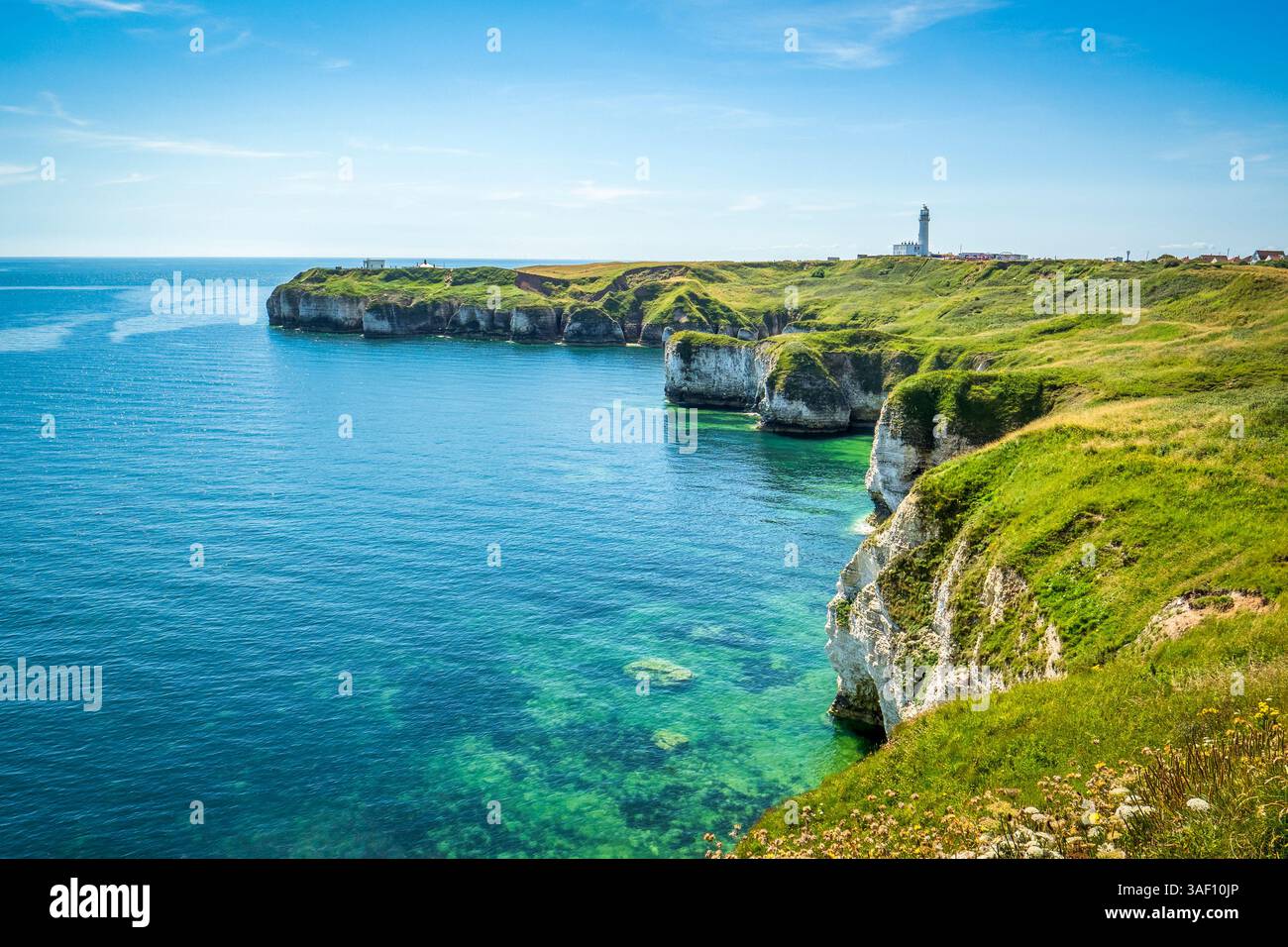 Flamborough Head e scogliere calcaree intorno a Selwicks Bay, nell'East Riding dello Yorkshire. Foto Stock