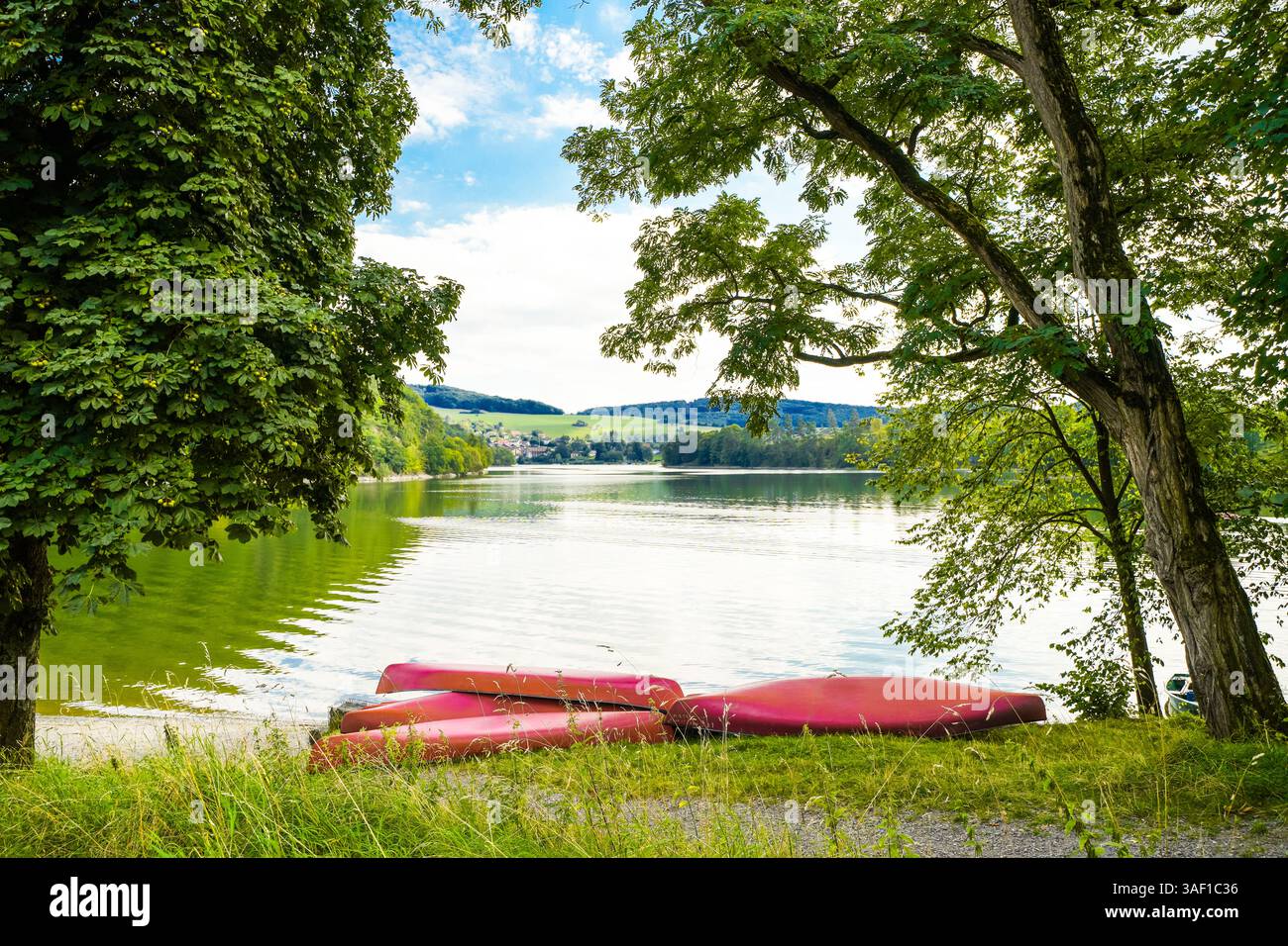 Vista del lago Diemelsee e del paesaggio circostante. Natura idilliaca nel bacino idrico di Sauerland. Foto Stock