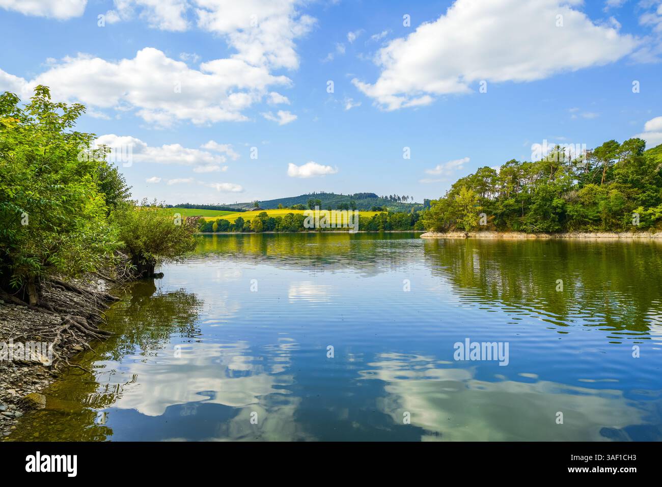 Vista del lago Diemelsee e del paesaggio circostante. Natura idilliaca nel bacino idrico di Sauerland. Foto Stock