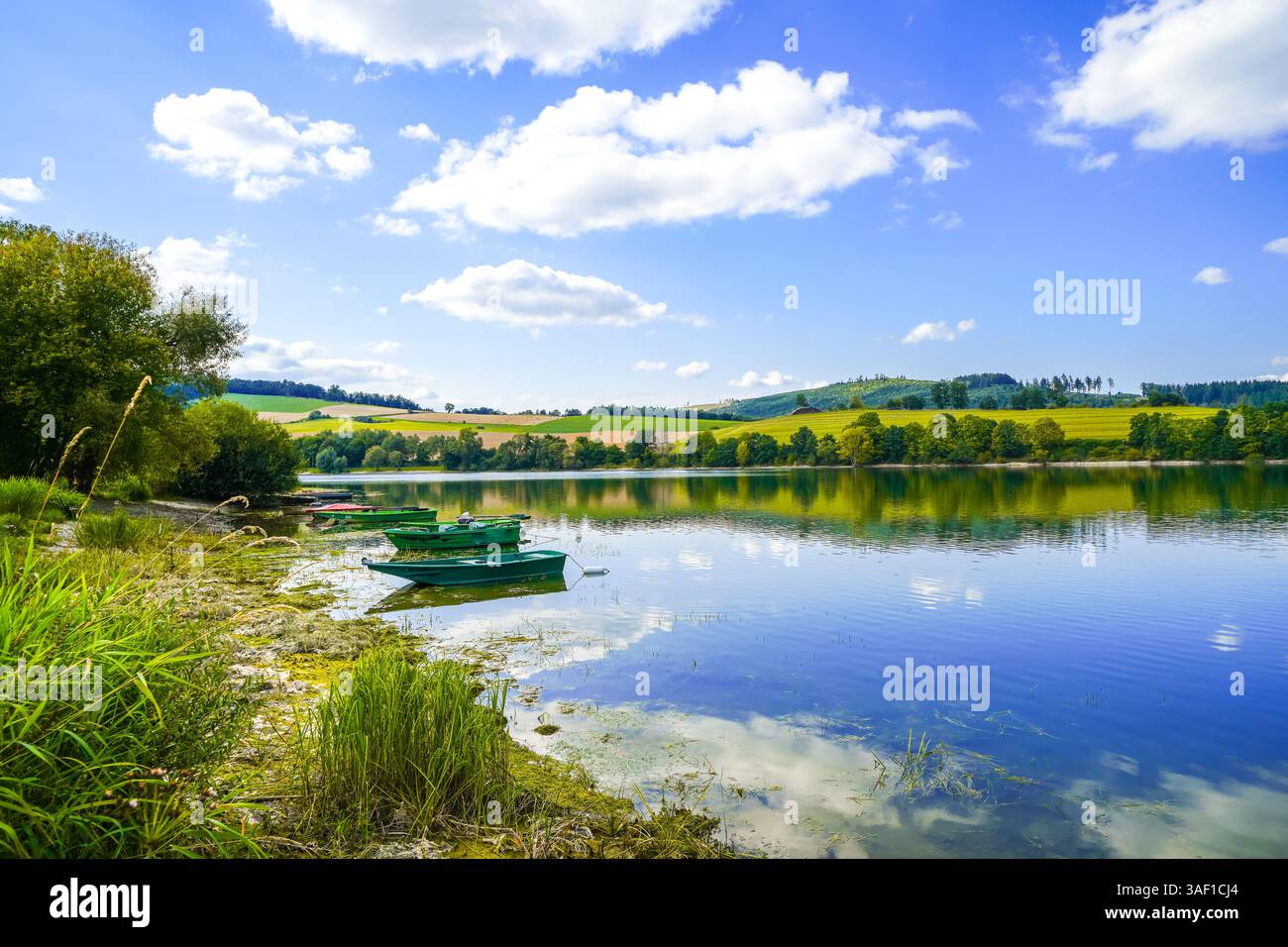 Vista del lago Diemelsee e del paesaggio circostante. Natura idilliaca nel bacino idrico di Sauerland. Foto Stock