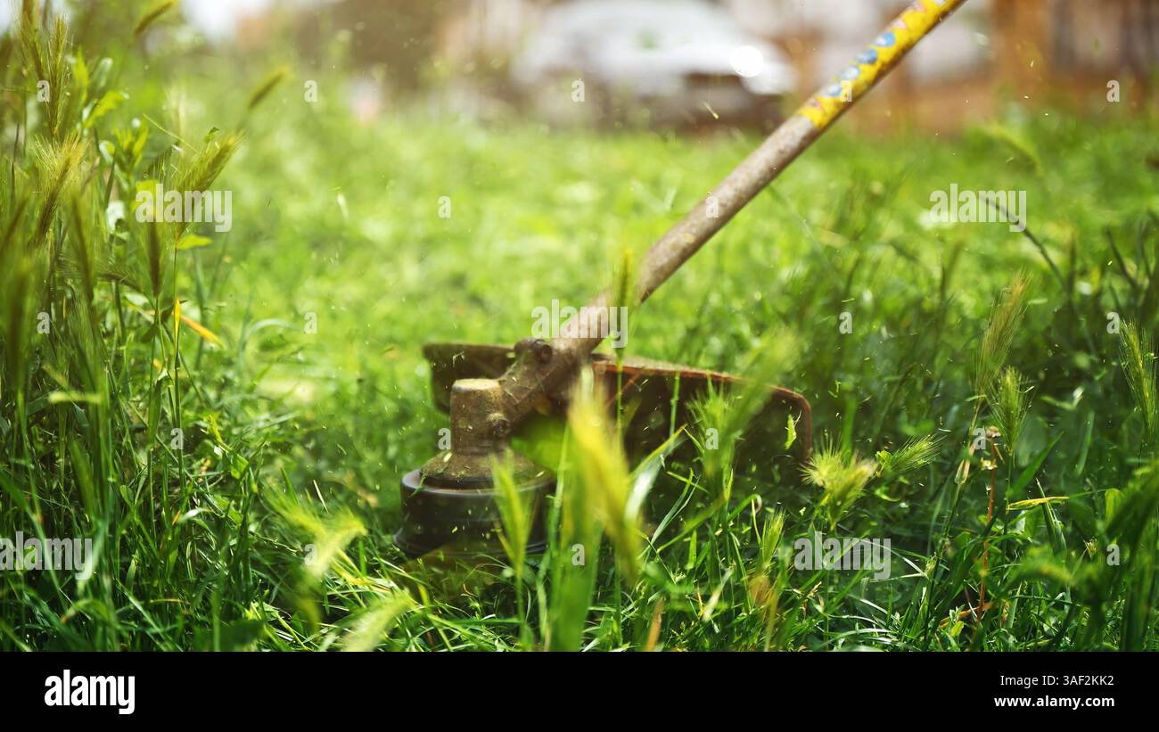 Rifilatura del prato con taglierine per filo manuale tagliaerba e rasaerba, messa a fuoco selettiva Foto Stock