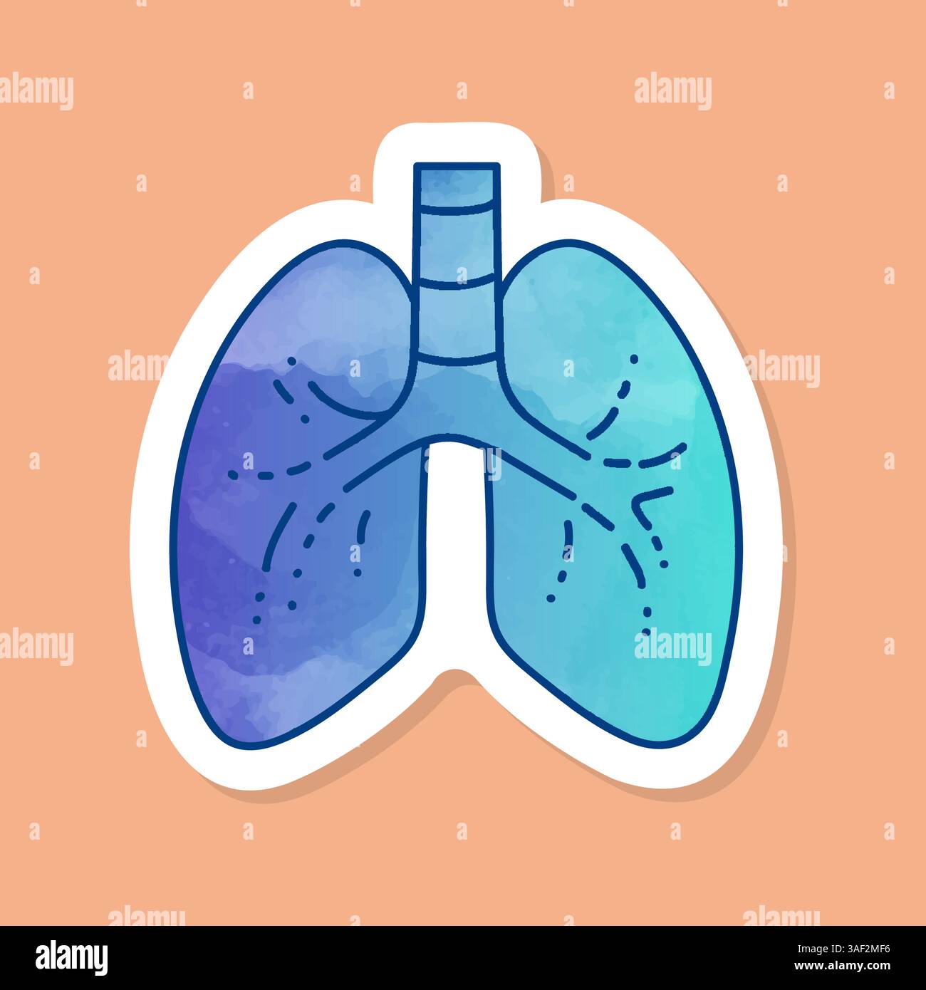 Adesivo di colore dei polmoni umani sani Illustrazione Vettoriale