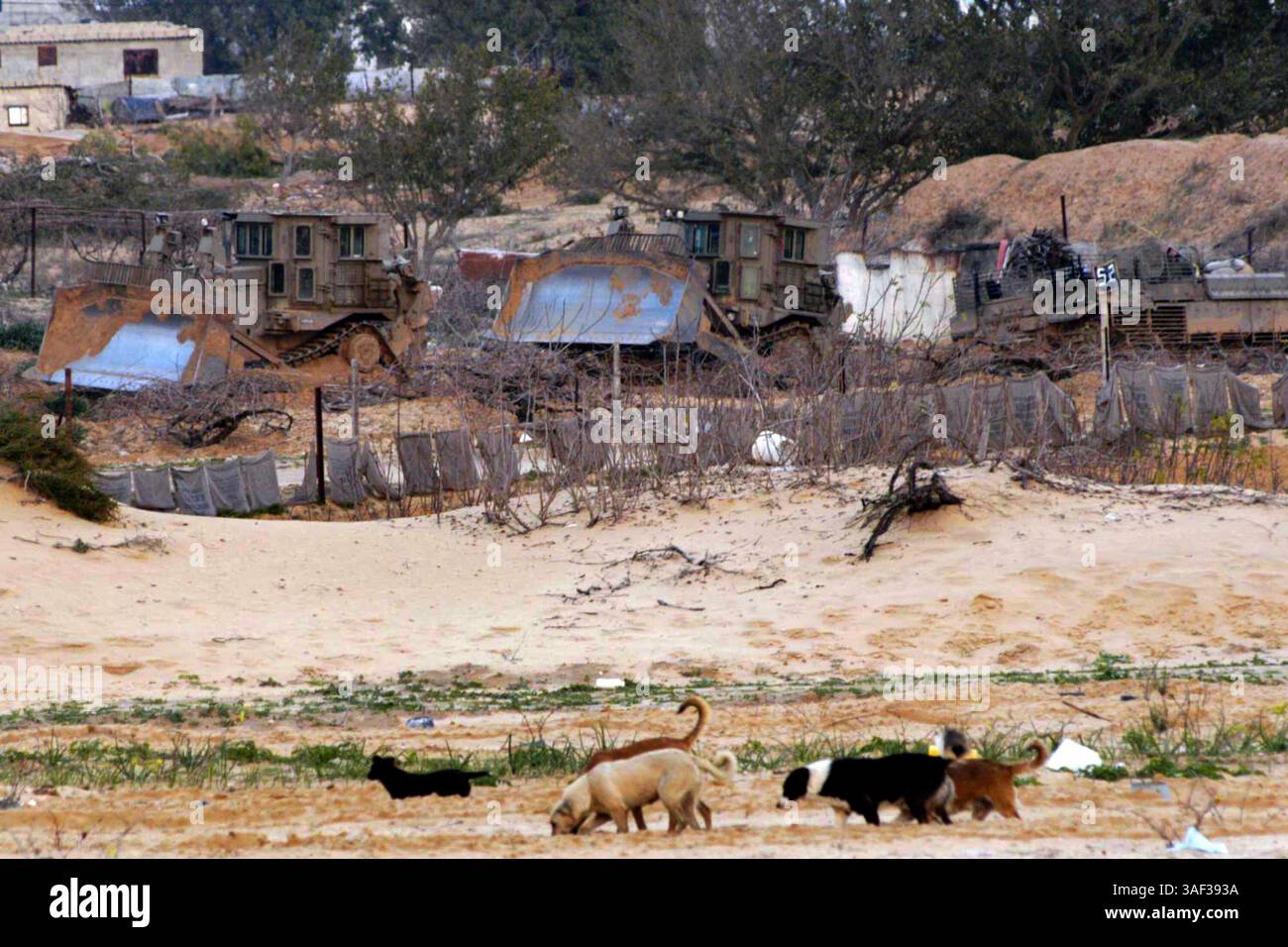 16 gennaio 2005; Zeitoun, STRISCIA DI GAZA; un bulldozer dell'esercito israeliano opera contro i militanti palestinesi il 16 gennaio 2005 a Zeitoun, vicino a Gaza, nella Striscia di Gaza. Il primo ministro israeliano Ariel Sharon ha accusato l'Autorità palestinese sotto il suo neoeletto presidente Mahmoud Abbas di non aver compiuto alcuno sforzo per combattere l'attività militante palestinese e ha affermato che le forze di difesa israeliane hanno libero sfogo per combattere il terrorismo proveniente dalla Striscia di Gaza. Foto Stock