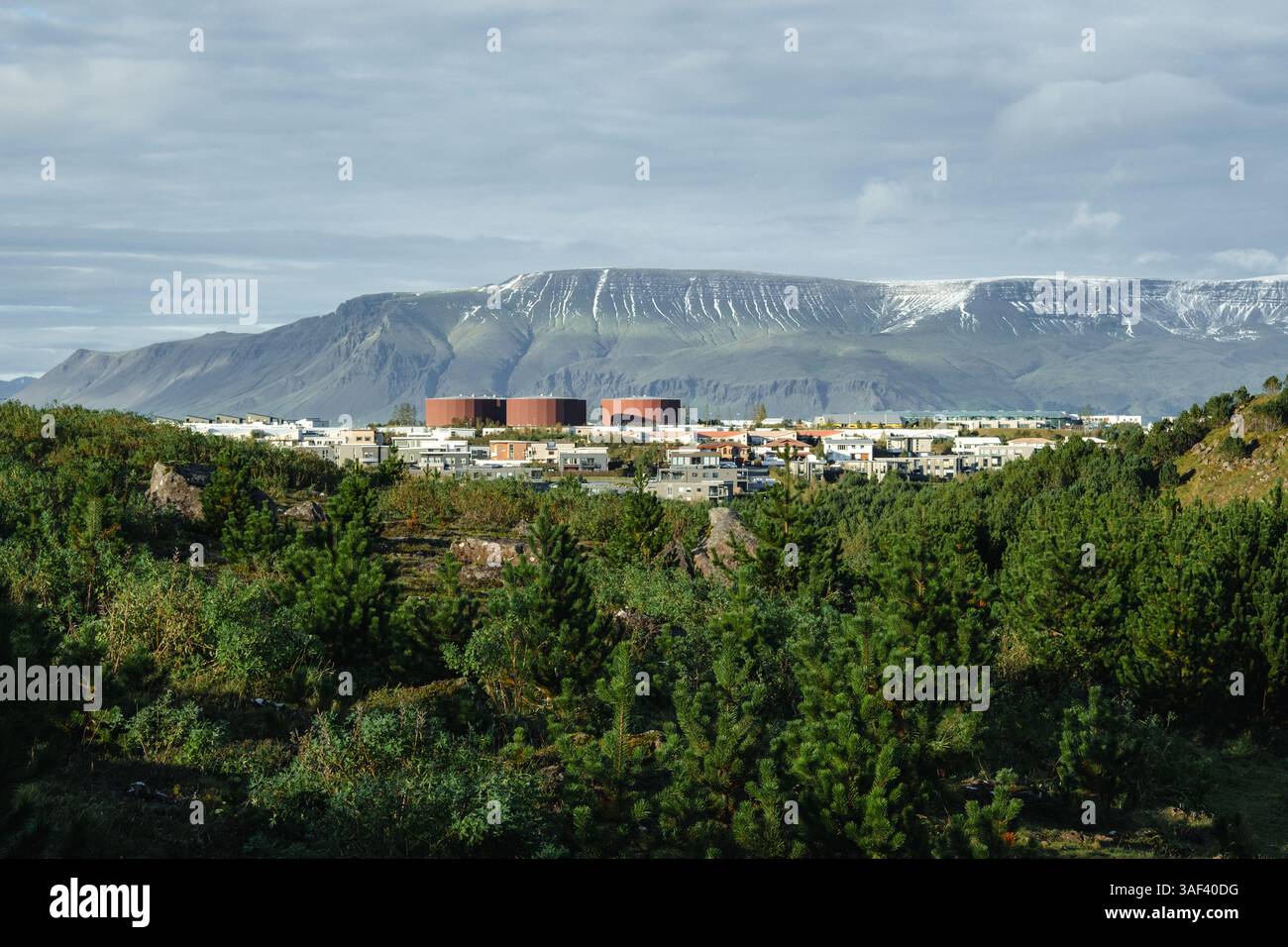 Un paesaggio con alberi ed edifici sullo sfondo Foto Stock