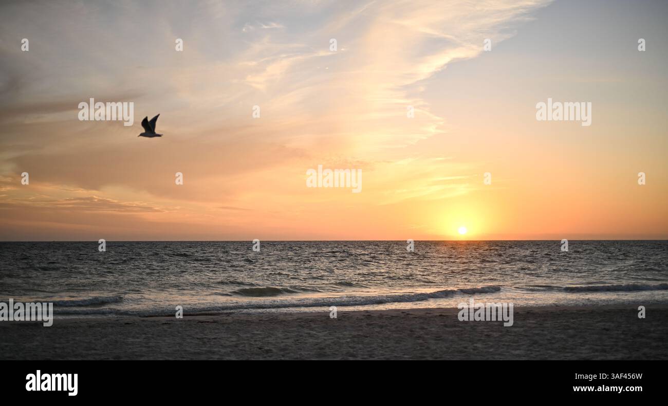 Gli uccelli volano sull'oceano con un bellissimo tramonto sull'oceano Foto Stock