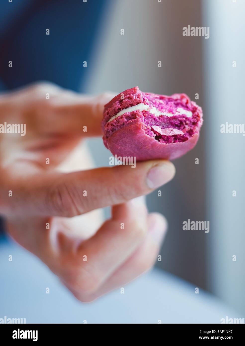 La mano di un uomo tiene un morso di un ripieno di brownie di maccheroni viola Foto Stock