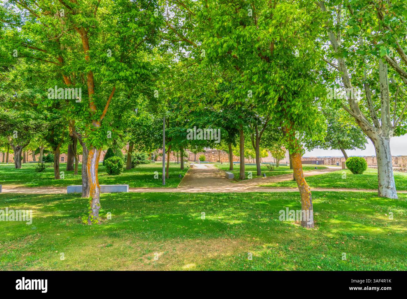 Giardini Baltasar Lobo con alberi verdi Zamora Spagna Castiglia e León Foto Stock