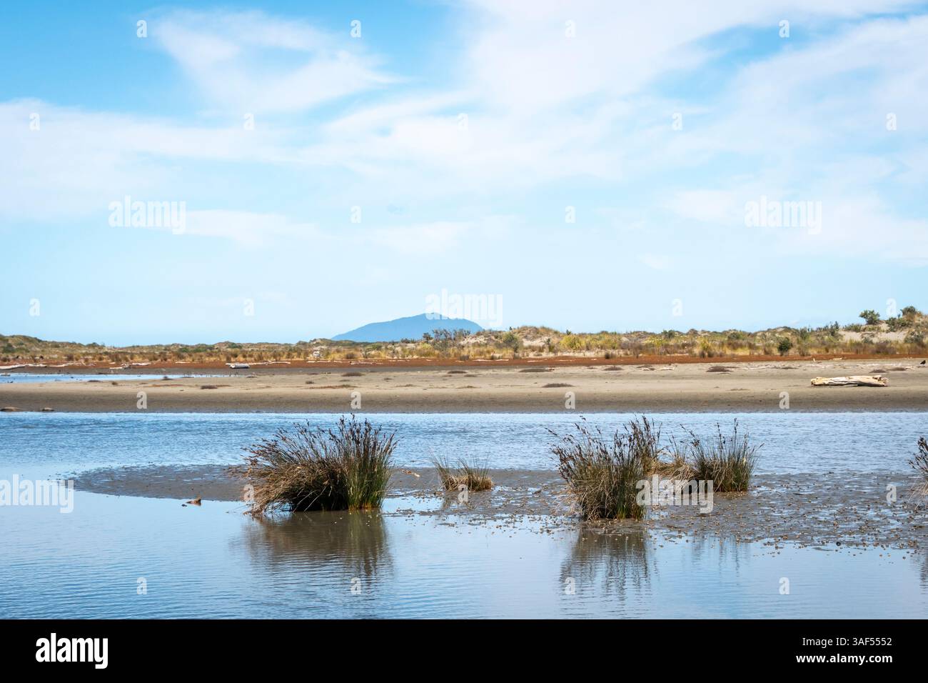 Kuku Beach, Horowhenua, Isola del Nord, nuova Zelanda Foto Stock