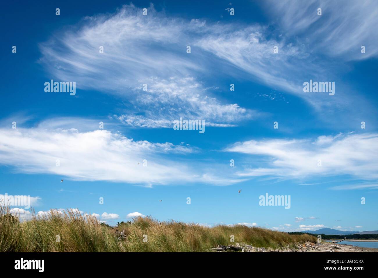 Nuvole bianche sulle dune di sabbia, Kuku Beach, Horowhenua, North Island, nuova Zelanda Foto Stock
