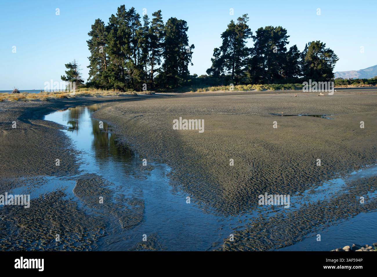 Zona umida di Tahuna, Nelson, South Island, nuova Zelanda Foto Stock