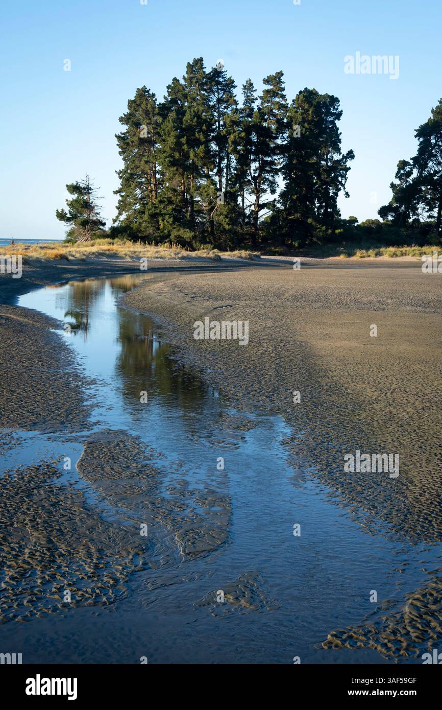 Zona umida di Tahuna, Nelson, South Island, nuova Zelanda Foto Stock