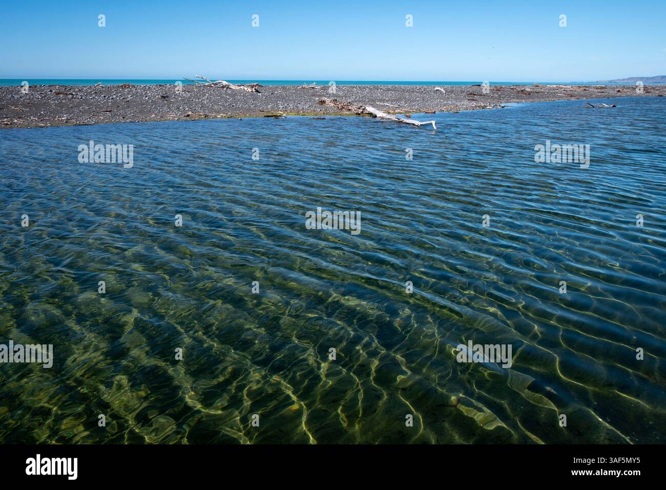 Laguna dietro la spiaggia di Kekerengu, Canterbury, South Island, nuova Zelanda Foto Stock