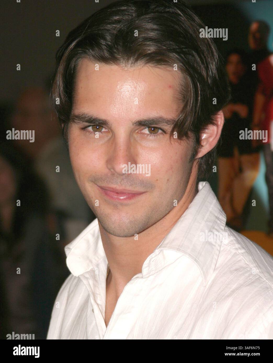 23 agosto 2005; Los Angeles, CA, Stati Uniti; l'attore JASON COOK alla prima mondiale "Dirty Deeds" tenutasi presso la Directors Guild of America di Hollywood. Credito obbligatorio: Foto di Michael Papo/KPA/ZUMA Press. (©) Copyright 2006 di Michael Papo Foto Stock
