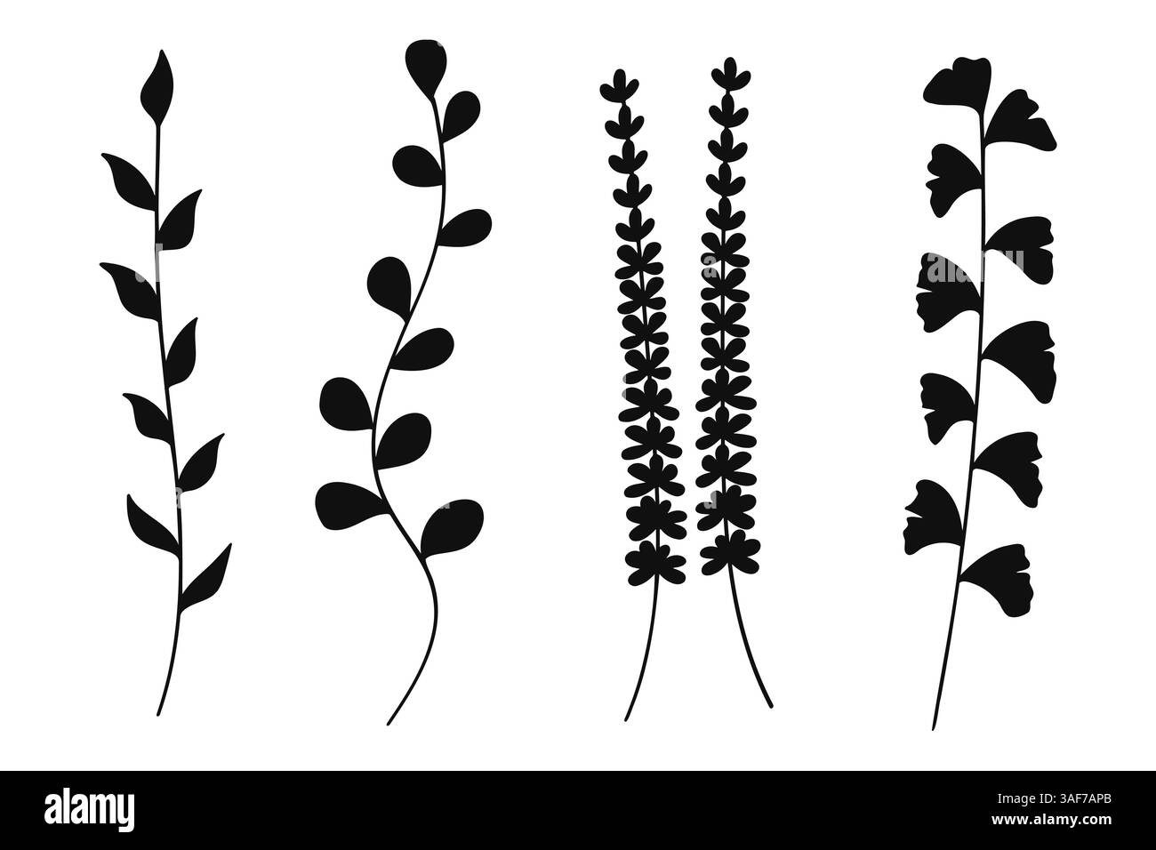 Illustrazioni botaniche con fiori e foglie di silhouette, perfette per disegni a tema naturale. Illustrazione Vettoriale