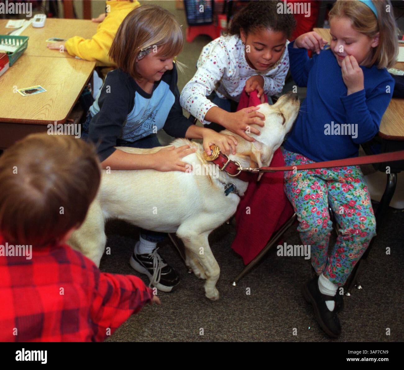 SP.95630.- - CONSEGNA A:.metro.- -.12/1/1999.- -.st. pete.- -. INFORMAZIONI DIDASCALIA:. Foto 1: l-r Maddie Moran cq, 7 anni, Demia Williams cq, 7 anni, Caitlin Christian cq, 7 dai un'occhiata da vicino al nuovo cane da caccia, Sparky, che appartiene al dipartimento di polizia del campus delle scuole pubbliche di Pinellas. Sparky era in visita alla Pasadena Fundamental Elementary School con i suoi gestori l'investigatore K-9 Barbara Baugher cq e l'investigatore K-9 Dennis Ingerson. -. TimesPhoto di:. PAM Royal.- -. Storia di:.Oppel.- -. SCANSIONATO DA:.- - DATA DI ESECUZIONE: .12/2/1999 (immagine di credito: St Petersburg Times/ZUMAPRESS.com) Foto Stock