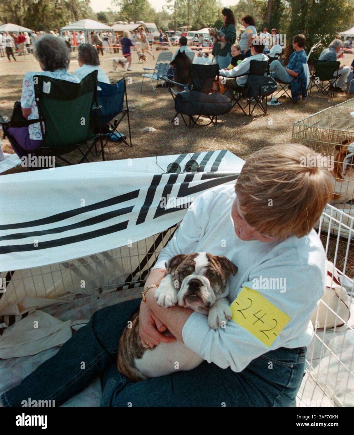 Ci.99736.- CONSEGNARE A:.Citrus desk.- 20/2/2000.- Inverness.- DIDASCALIA INFO: (3 di 3): Vicki Lovett (cq) di Brandon si coccola con il suo bulldog Olivia dentro la sua penna mentre il giudizio continua sullo sfondo. L'Inverness Florida Kennel Club ha tenuto una partita sanzionata di razza e obbedienza dietro il Withlacoochee Technical Institute domenica pomeriggio (immagine di credito: St Petersburg Times/ZUMAPRESS.com) Foto Stock
