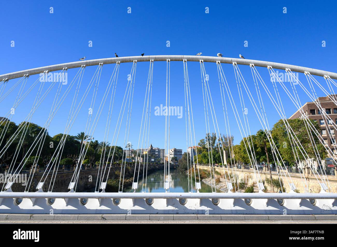 Architettura ad arco del ponte Vistabella sul fiume Segura. Murcia, Spagna - 2023 Foto Stock
