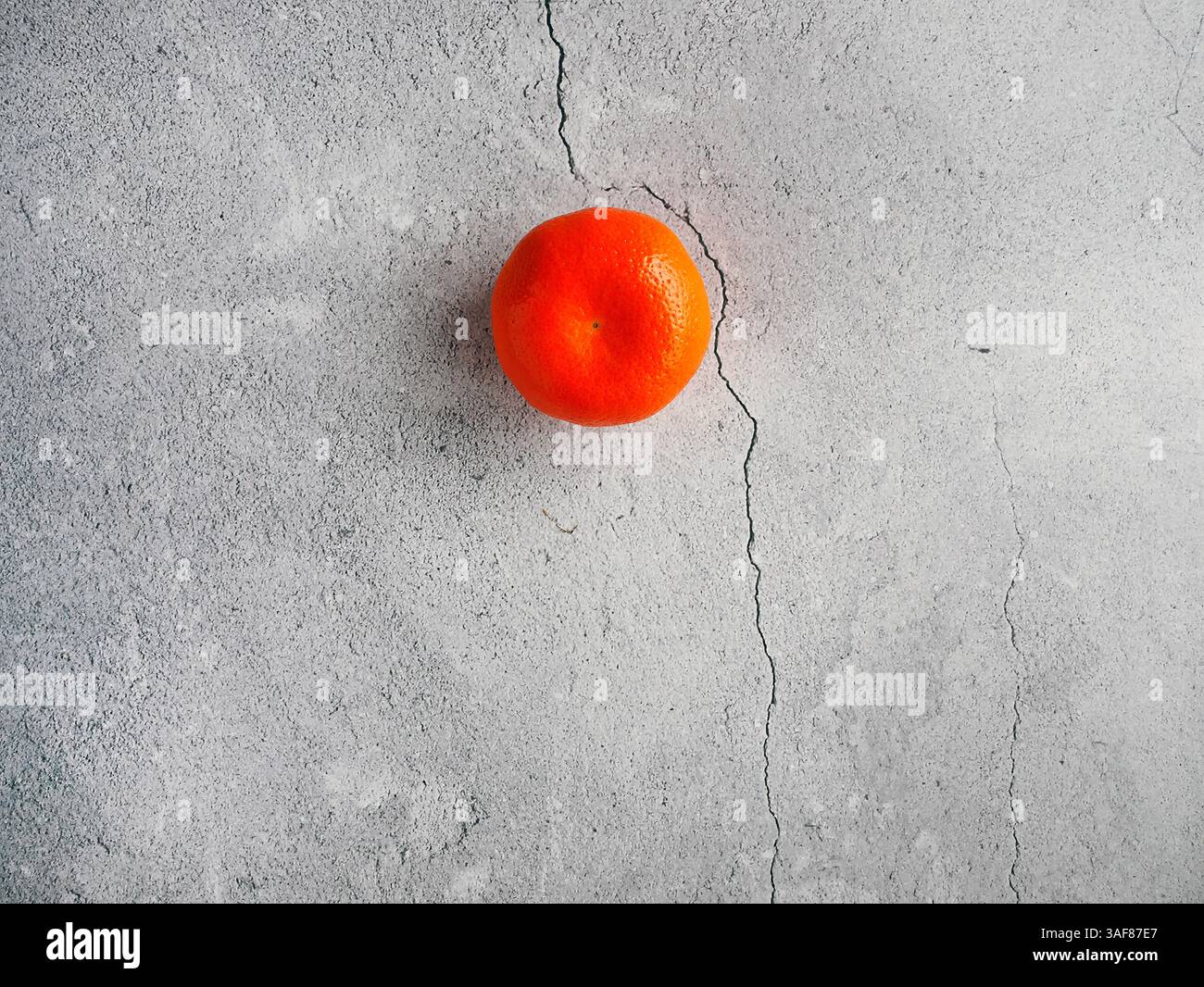 Elegante composizione di arancio Mandarino o Tangerinesa, colori vivaci di agrumi tropicali, oggetti di scena per la decorazione domestica concept.jpg Foto Stock